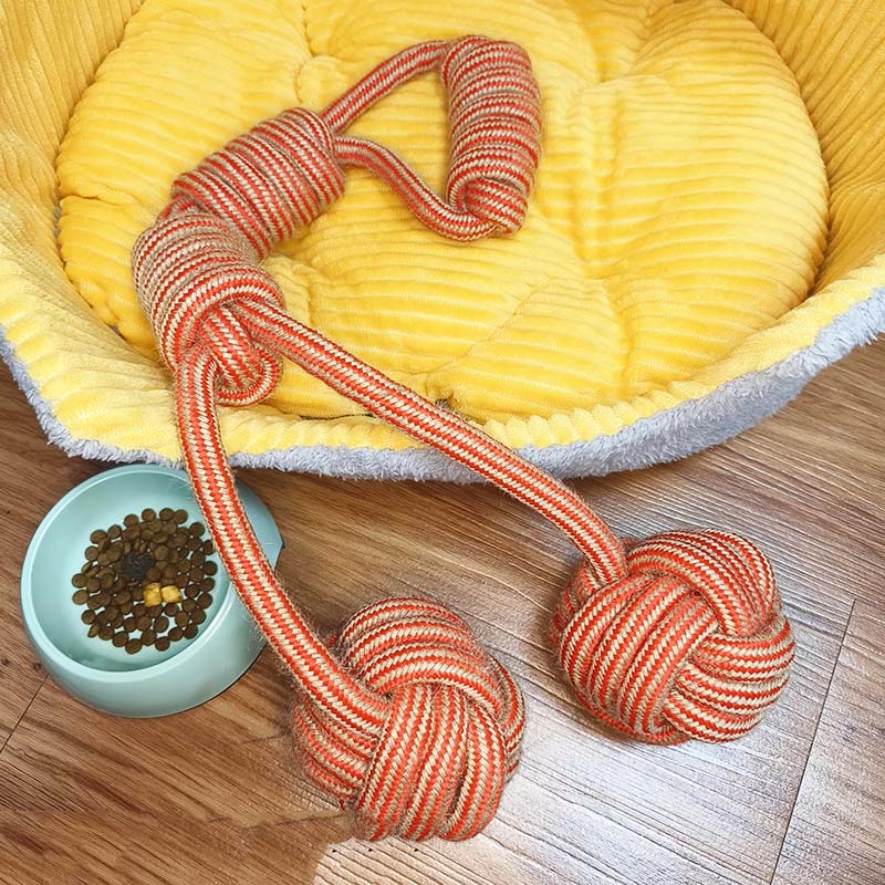 هذه الألعاب 4 Pet Play ستجعل حيواناتك الأليفة أقرب إليك!